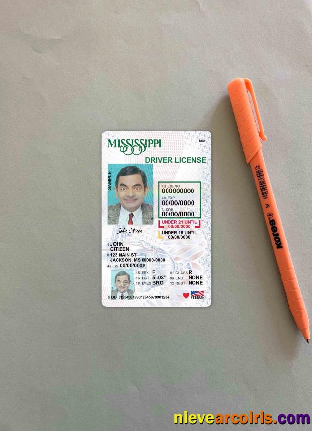 USA Mississippi driving license photolook